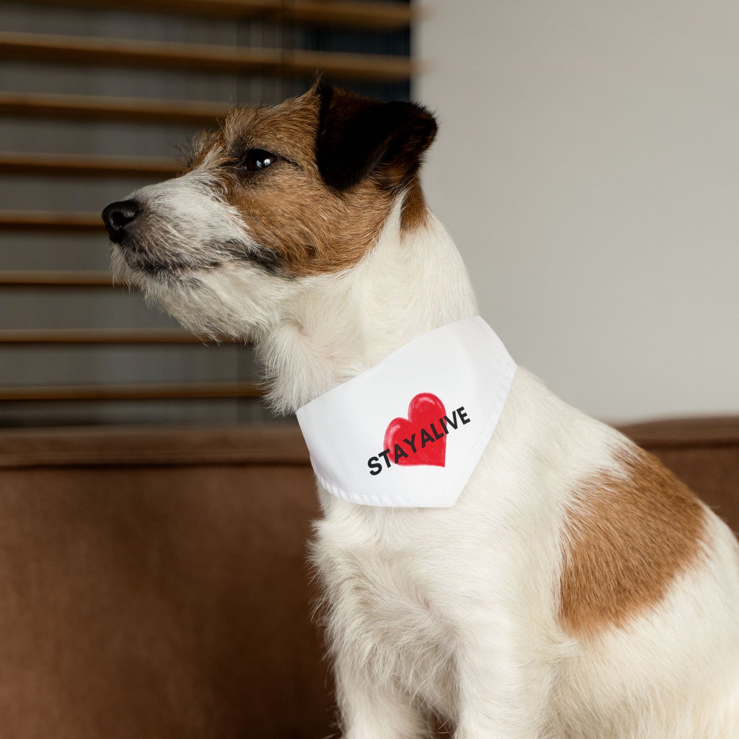 StayAlive™️ ❤️🐶 Pet Bandana + Collar